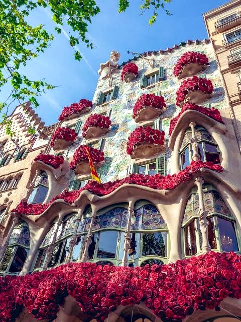 Feliç Sant Jordi🌹🌹📖