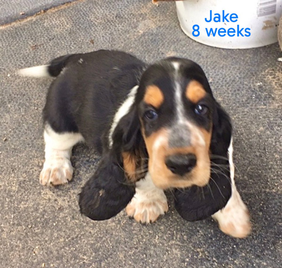 Lizzy Lou Who 🌷 tweet media