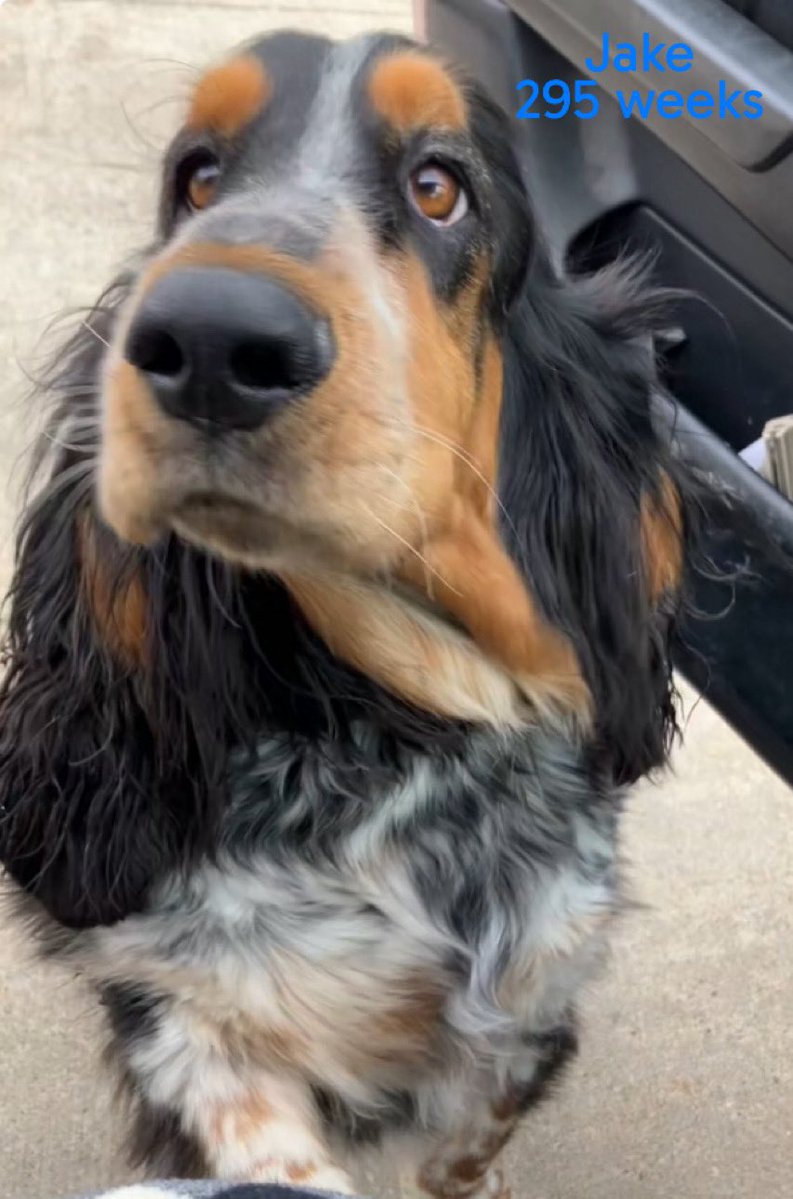 Lizzy Lou Who 🌷 tweet media