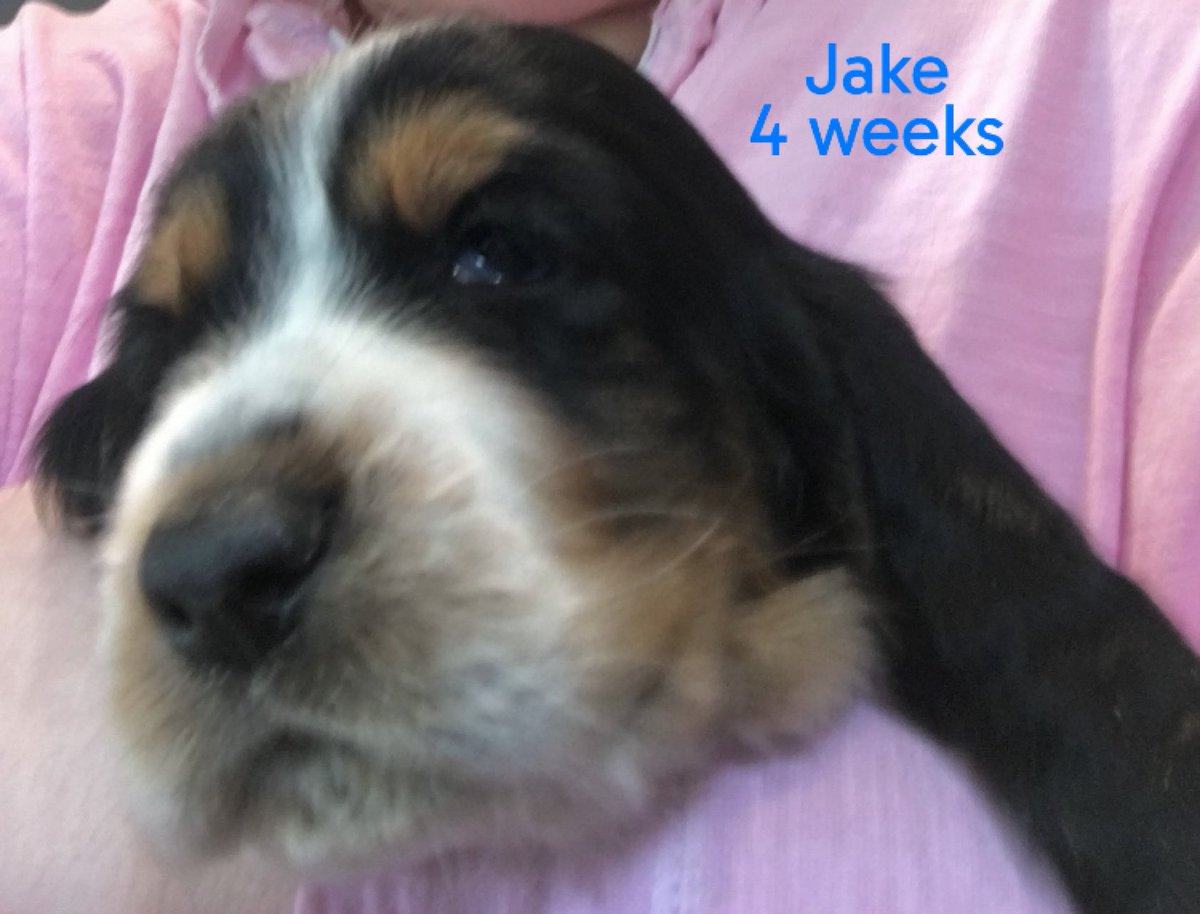 Lizzy Lou Who 🌷 tweet media