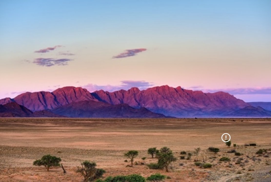 Woestyn_Wolf 🇿🇦🇳🇦 tweet media