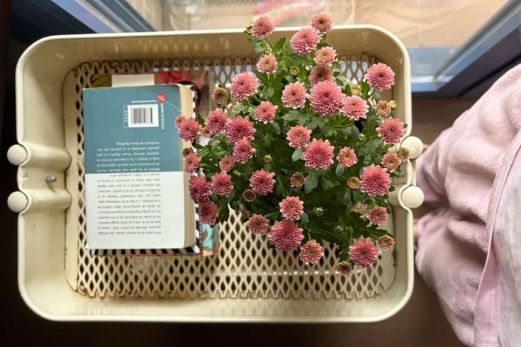 𝒍𝒖𝒏𝒂 tweet media