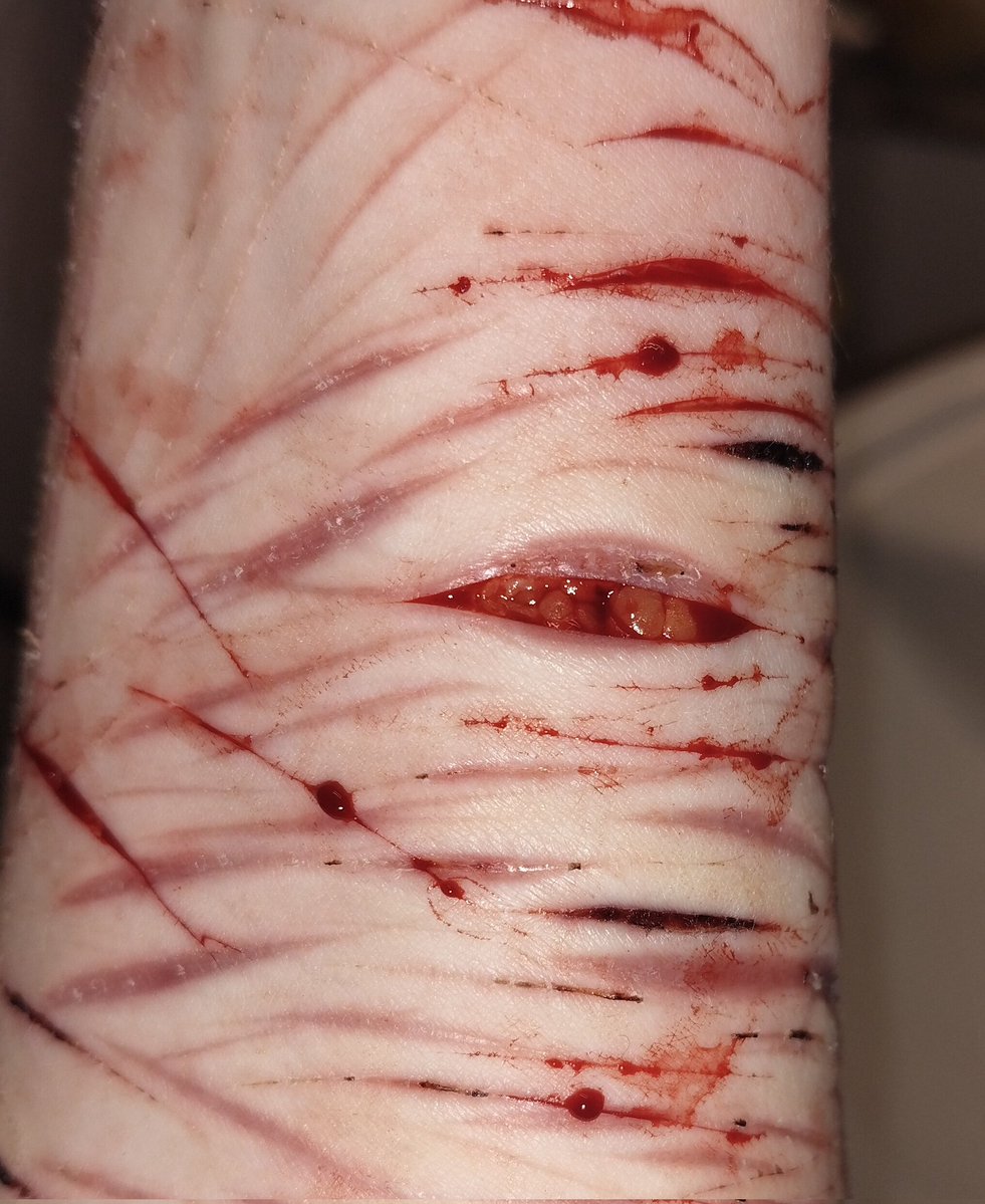 ~\\+badware of shedtwt+//~ tweet media