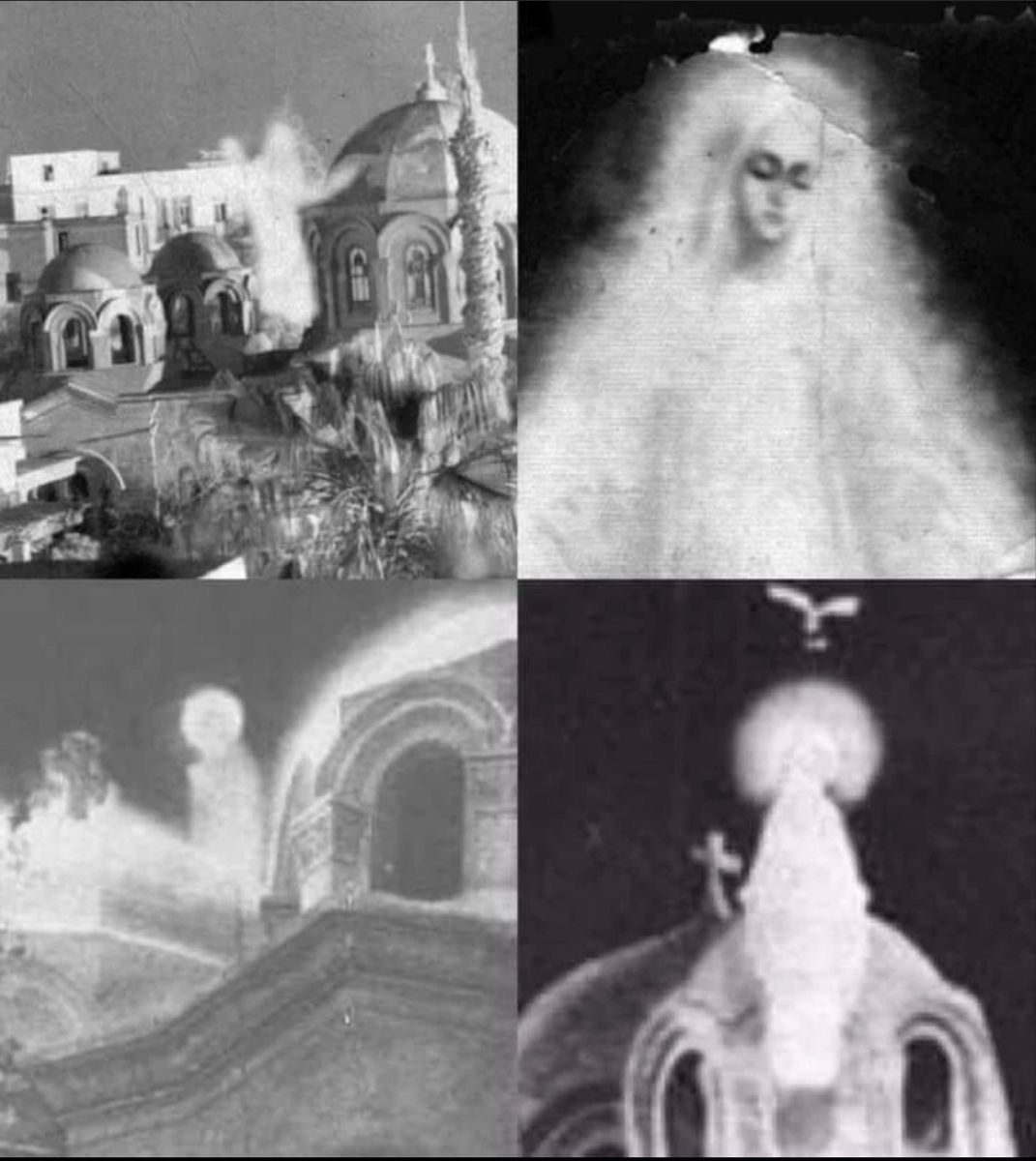 𝚕𝚒𝚝𝚝𝚕𝚎 𝚘𝚗𝚎 ♱🇻🇦 tweet media