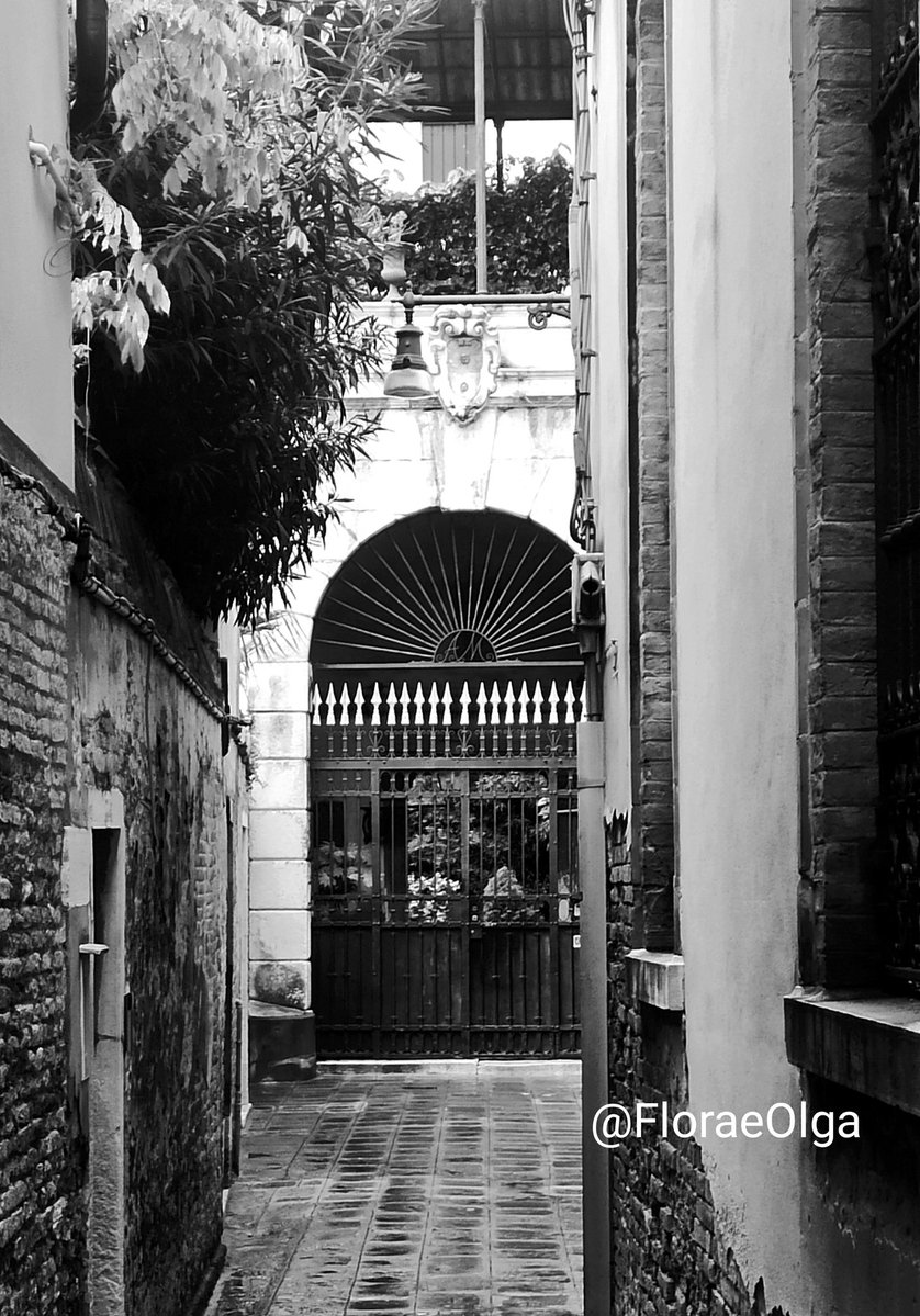 FloraeOlga's tweet image. #Venezia