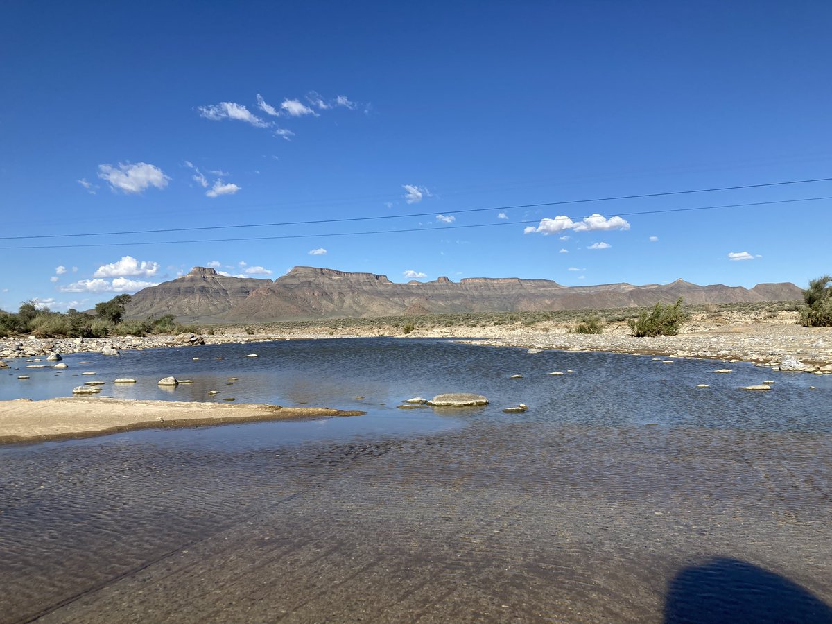 Woestyn_Wolf 🇿🇦🇳🇦 tweet media