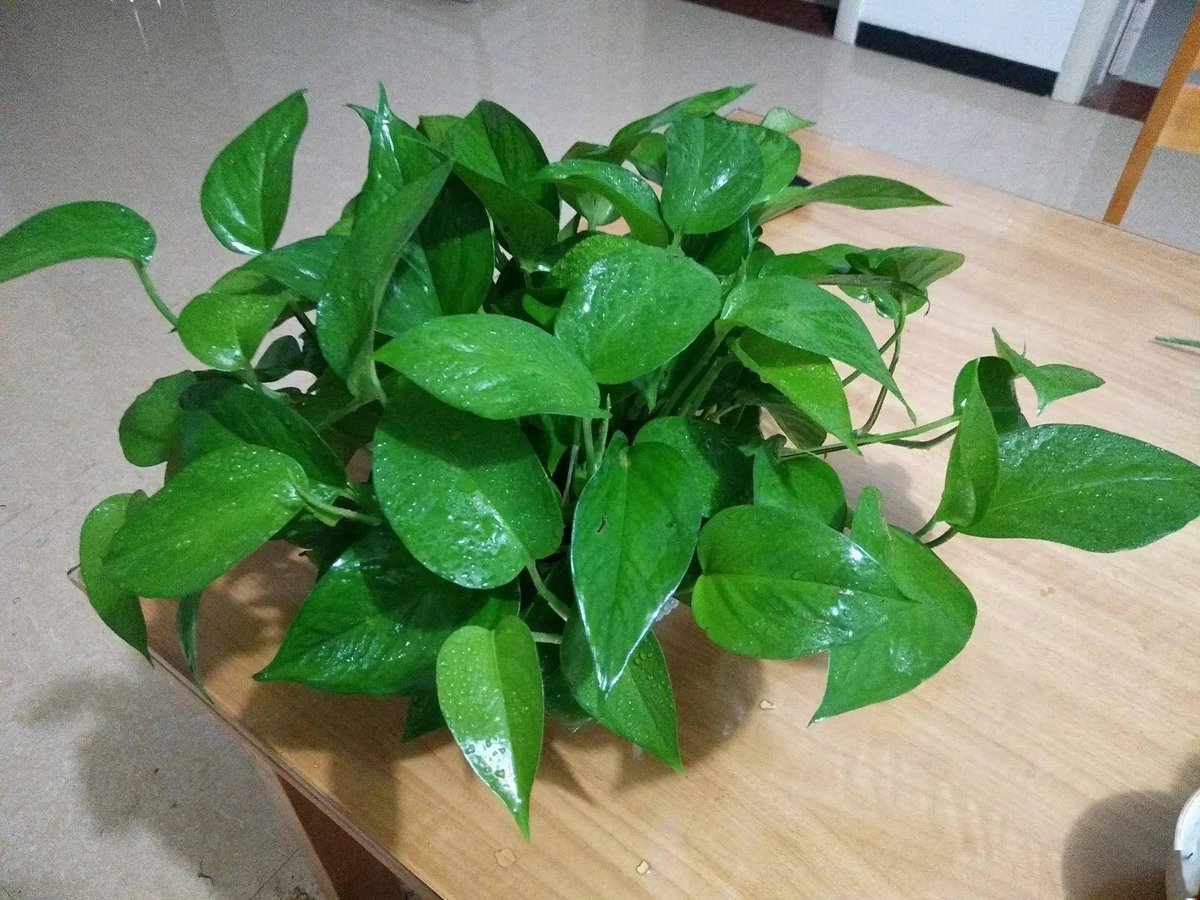 Elizabeth Danskin tweet media