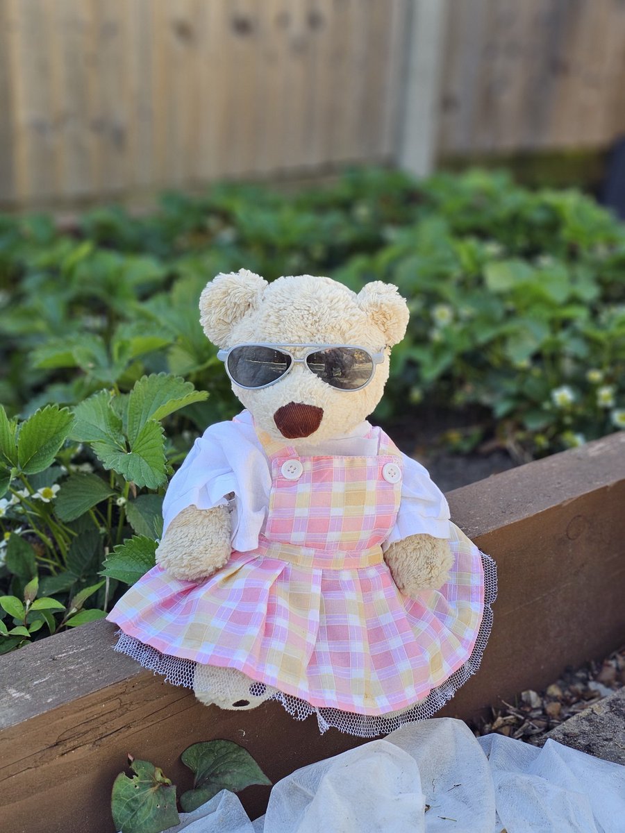 Nancy Bear tweet media