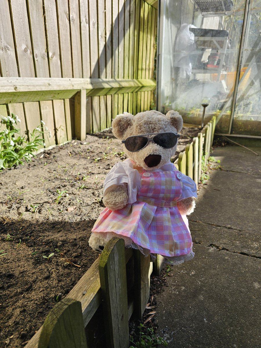 Nancy Bear tweet media