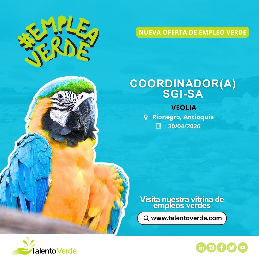Talento Verde tweet media