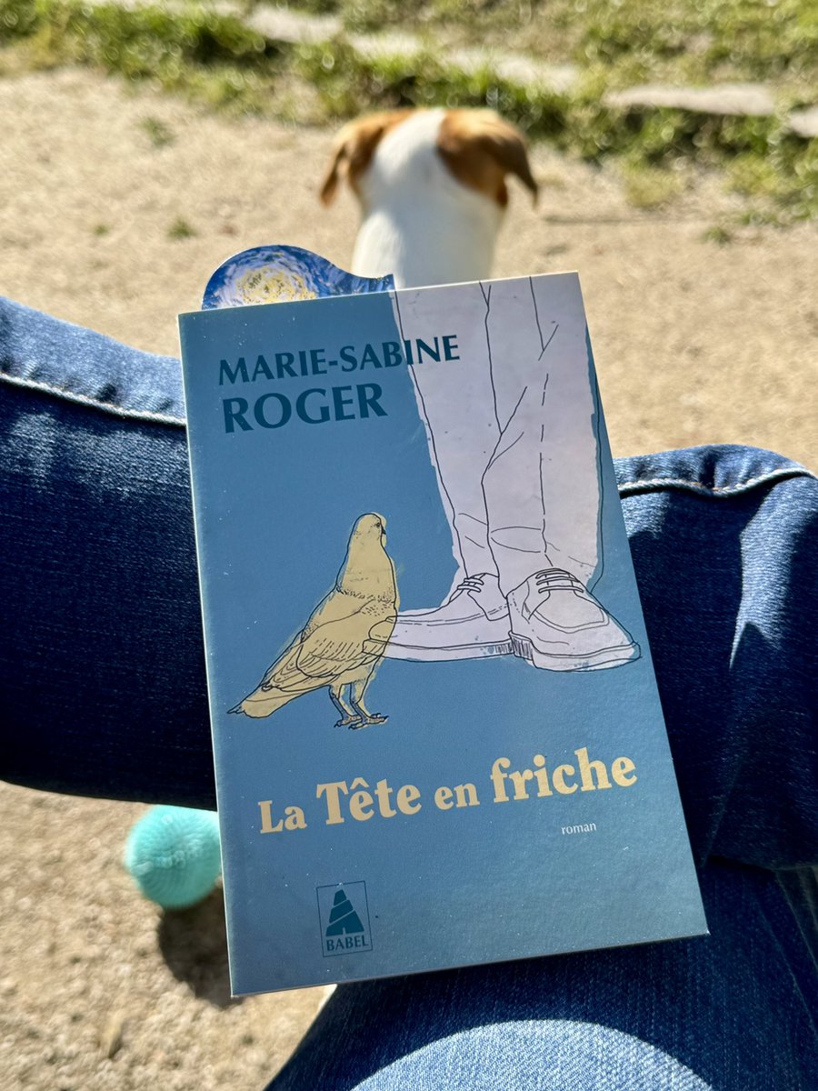 Elodie_Bacoup's tweet image. Un #roman plein d’humour et d’humanisme sur un homme de 45 ans adoptant une vieille dame Margueritte âgée de 86 ans, qui va lui ouvrir le monde des livres en lui faisant la lecture… 👍🏻