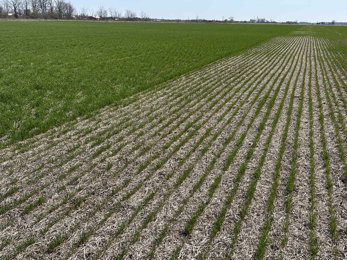 Ryan Benjamins tweet media