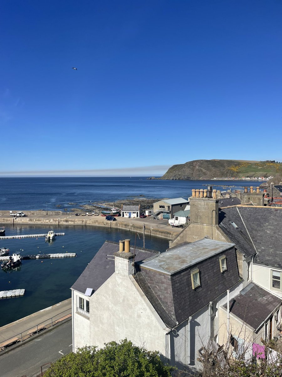 Paul Reid tweet media