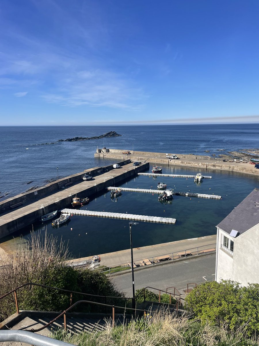 Paul Reid tweet media