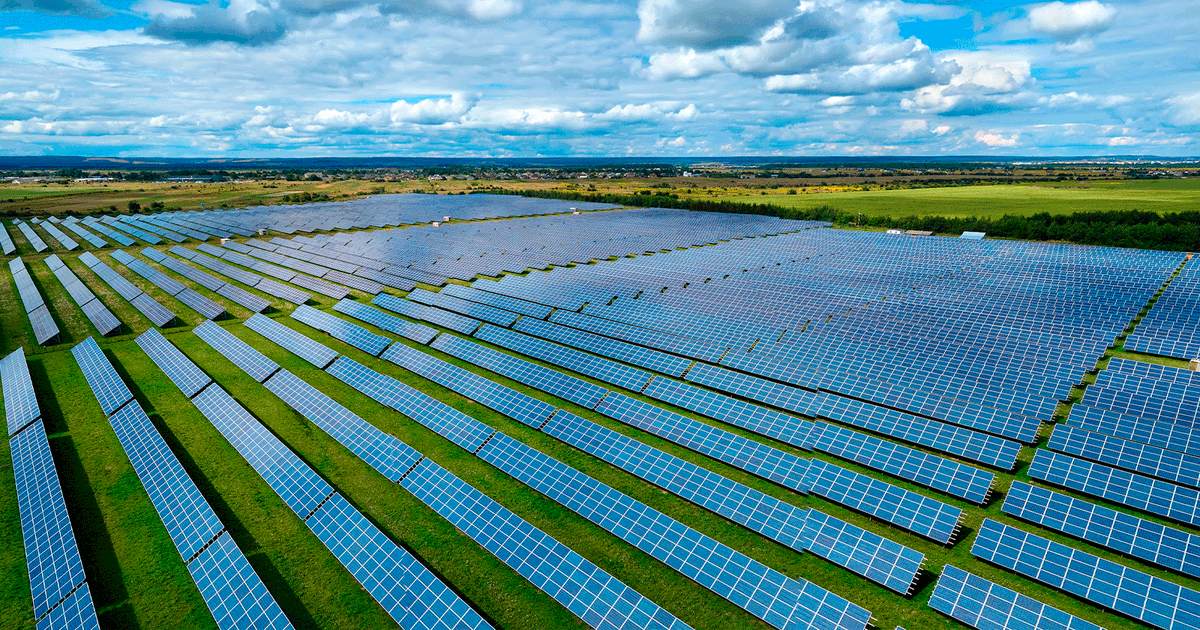 MVS Noticias Jalisco tweet media