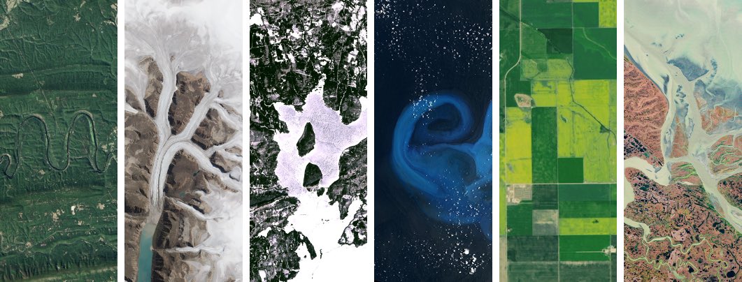 the perfect thing for an earth sign 🙂‍↕️🌍🍄🌸🌲