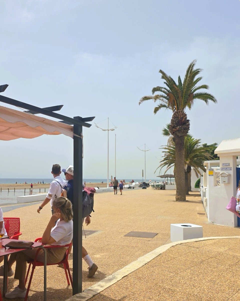 ISOintheSun tweet media