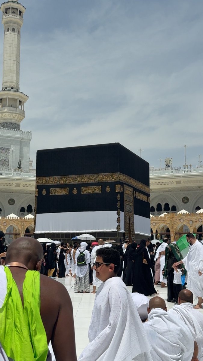 دآلي tweet media