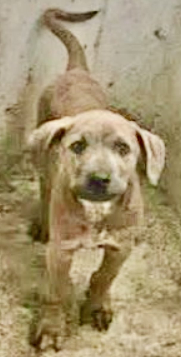 Cheryl Ramirez tweet media