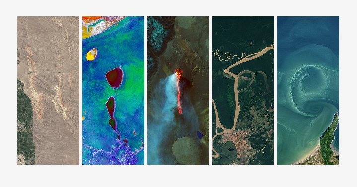 h//pe princess memes tweet media