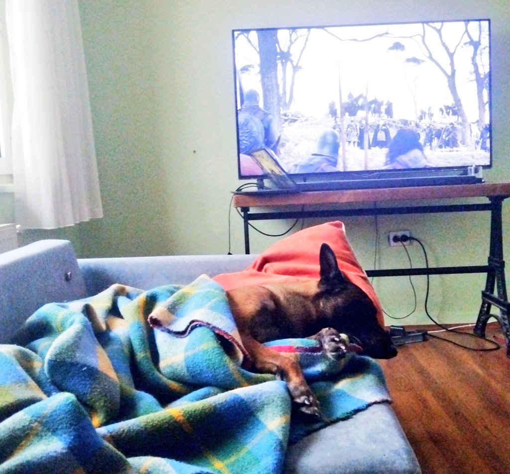 keyfimin kâhyası ben ve Paşammmm tweet media