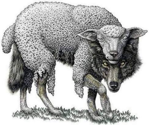 vidsofinterne1's tweet photo. @HustleBitch_ Literally the sheep https://t.co/A4MVUMDB8G