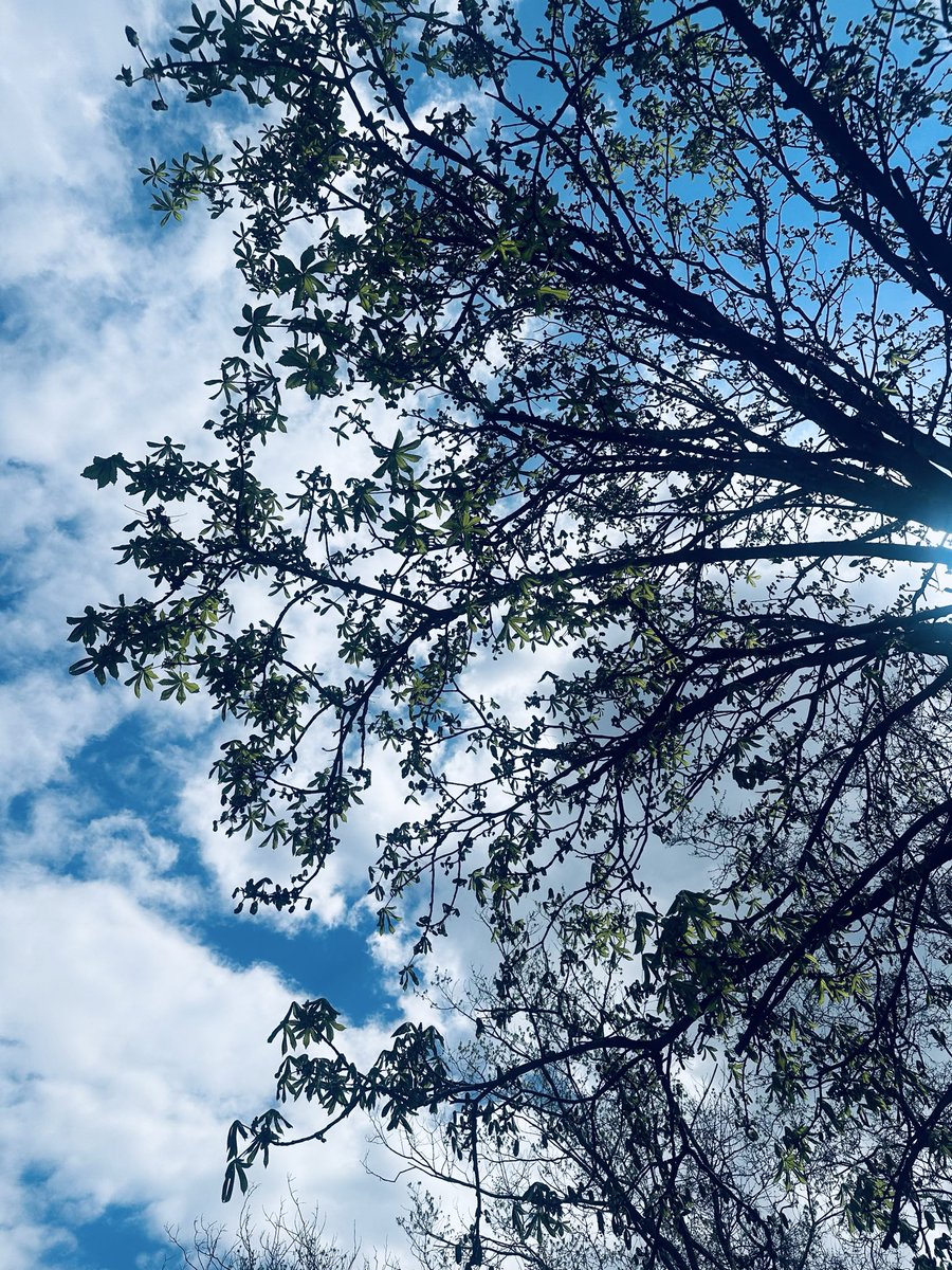 Belgin🌻 tweet media