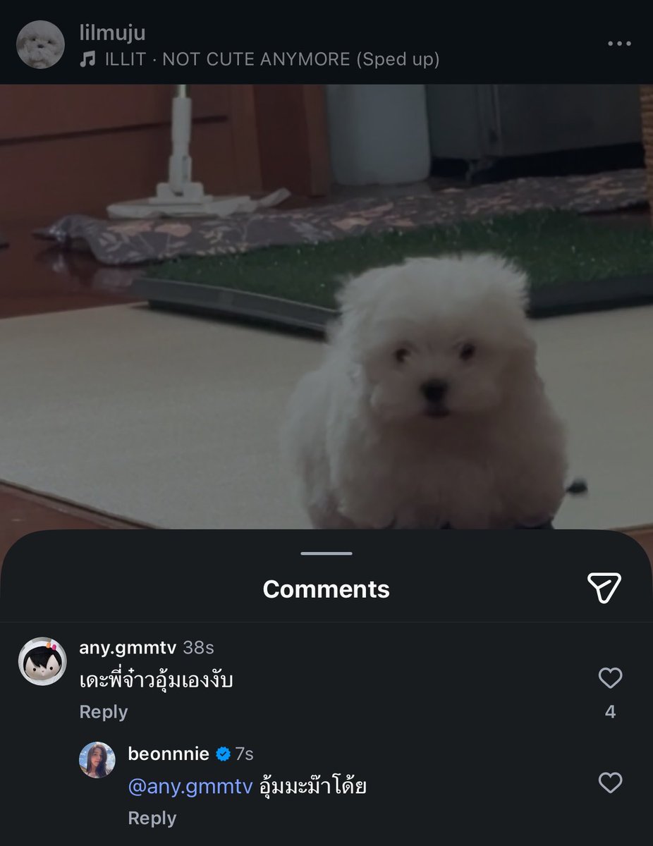 imวอตอ ✿ ⁺ 𓈒 tweet media