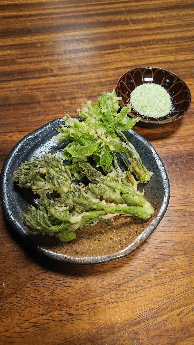 ウドとコシアブラ揚げました。抹茶塩でいただきま、