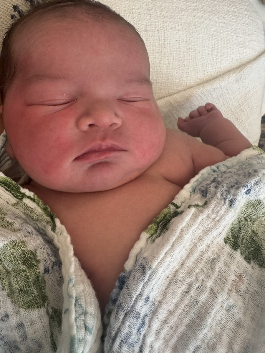 joshnomics tweet media