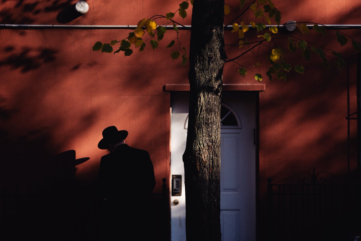 New York in color, 2024