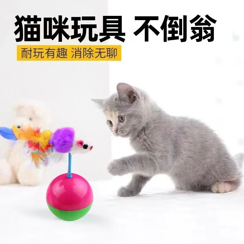 Rafael Ferreira tweet media