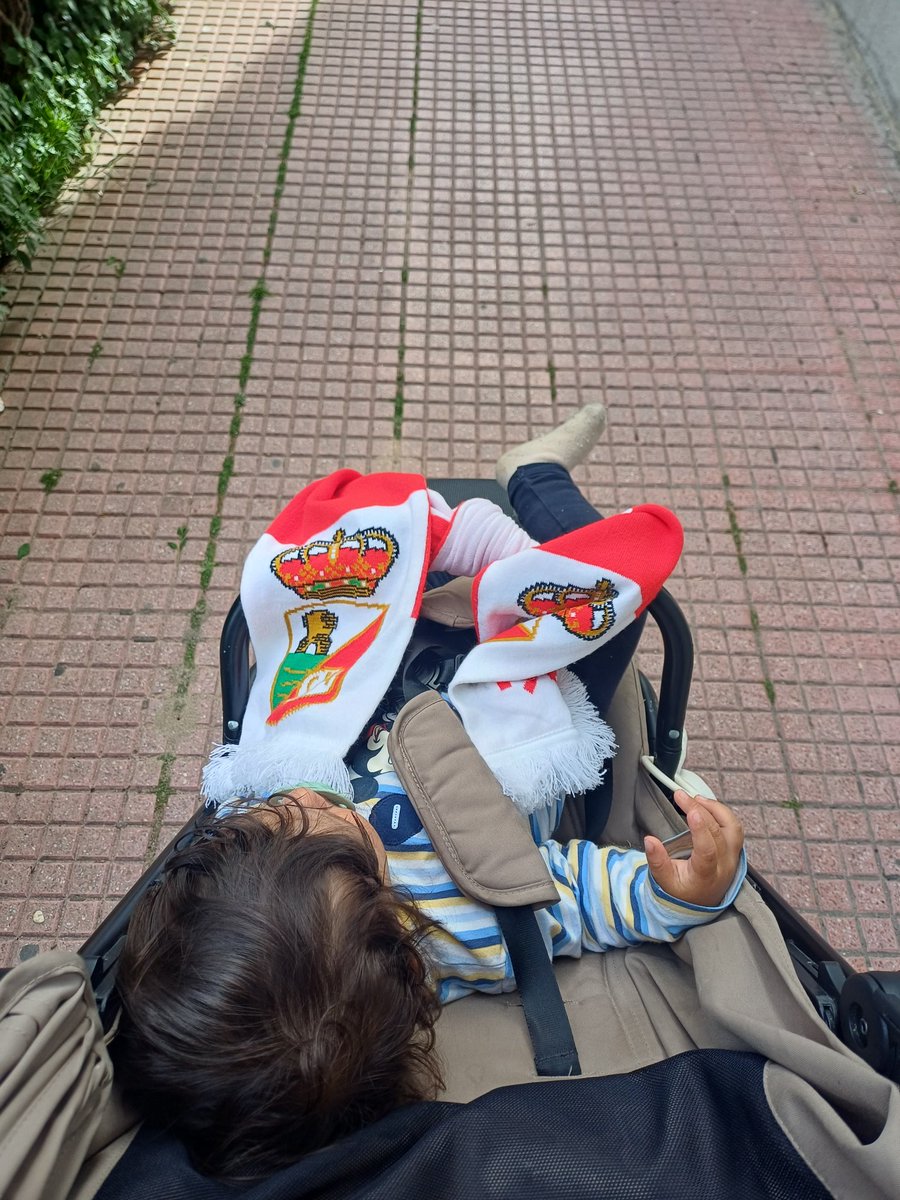 PEAH_oficial's tweet photo. @rsda_oficial y si hacemos historia y este peque ve dos ascensos seguidos? #rsda https://t.co/j8bjTgJsgq