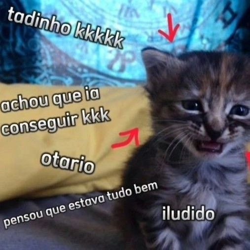 *.⁠✧ 𝙨𝙖𝙢 `๑ tweet media