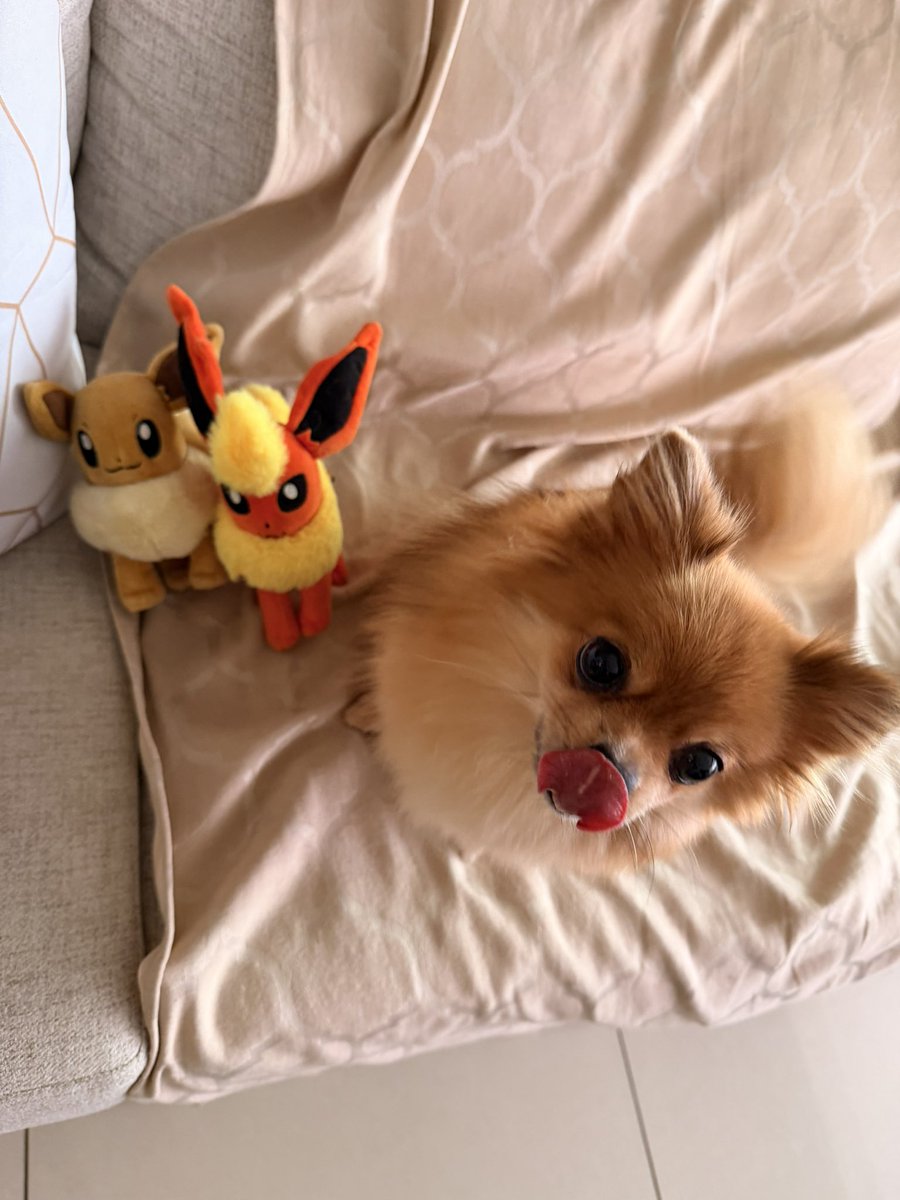 Sem grandes poderes vêm pequenas responsabilidades tweet media