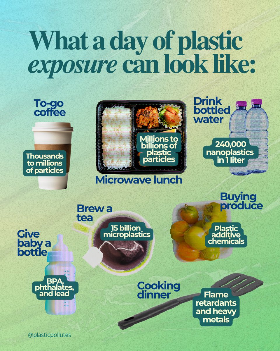 Plastic Pollutes tweet media
