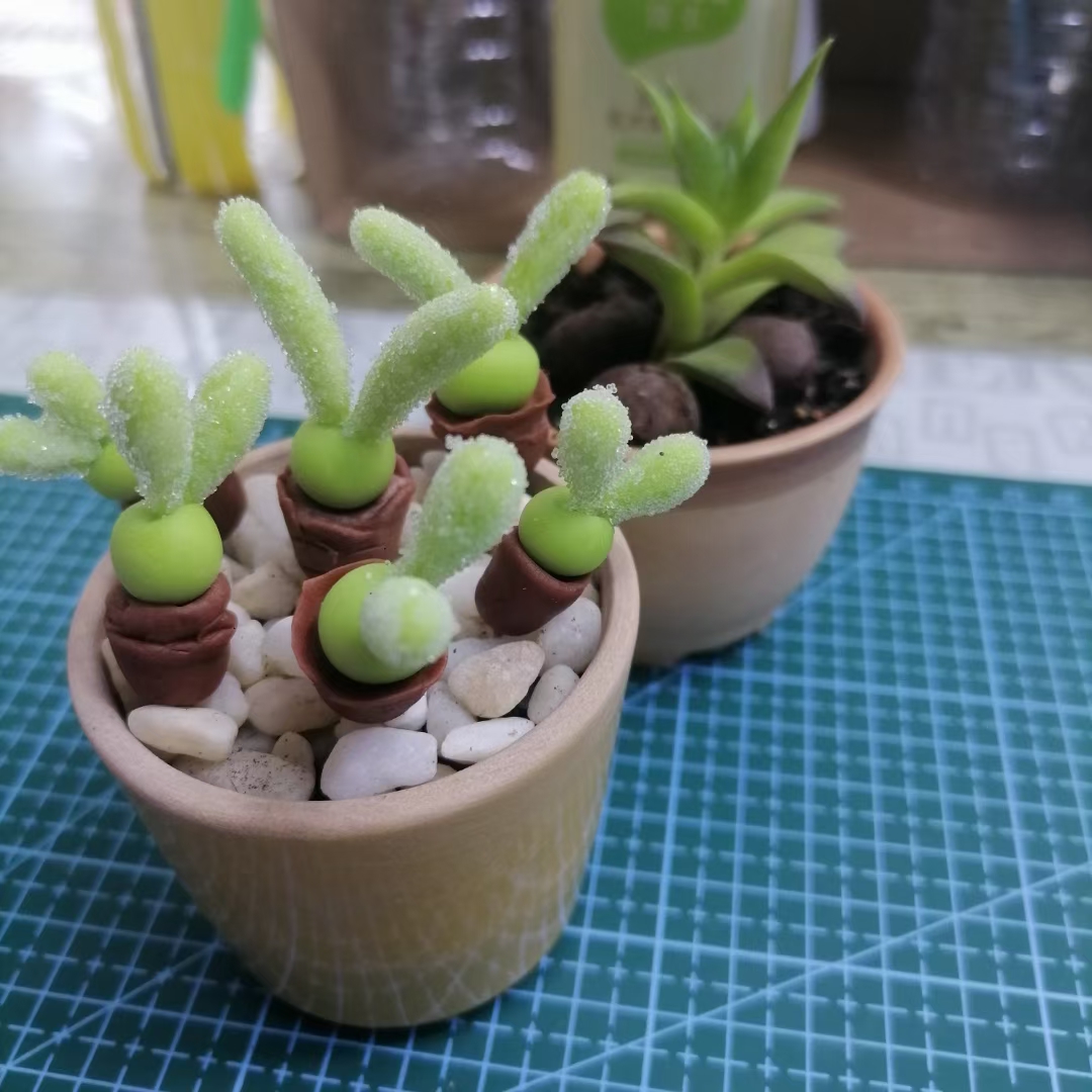 Jesica39545891's tweet image. Handmade magic! Turn simple clay into a tiny potted succulent—soft green, matte glaze, just 3cm tall. Perfect for your desk nook. What will you craft today #HandmadeJoy #ClayArt #Miniatures