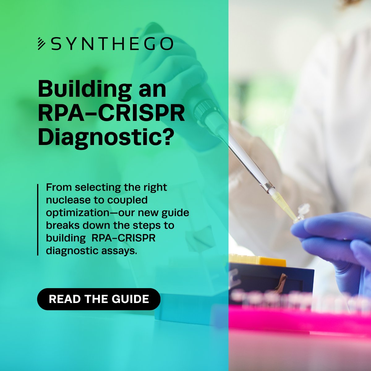 Synthego tweet media