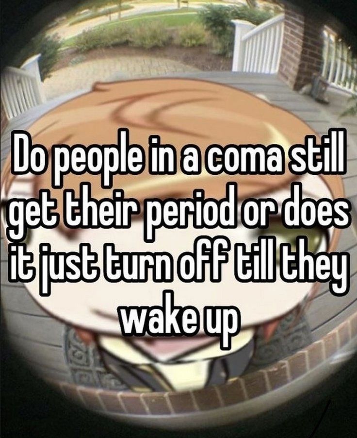 dinosaur tweet media