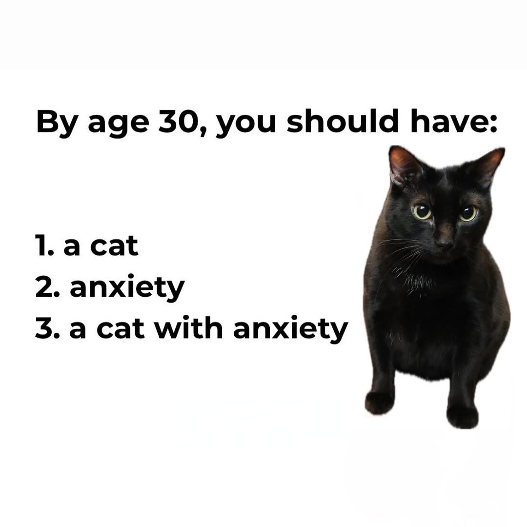 We don't deserve cats 😺 tweet media