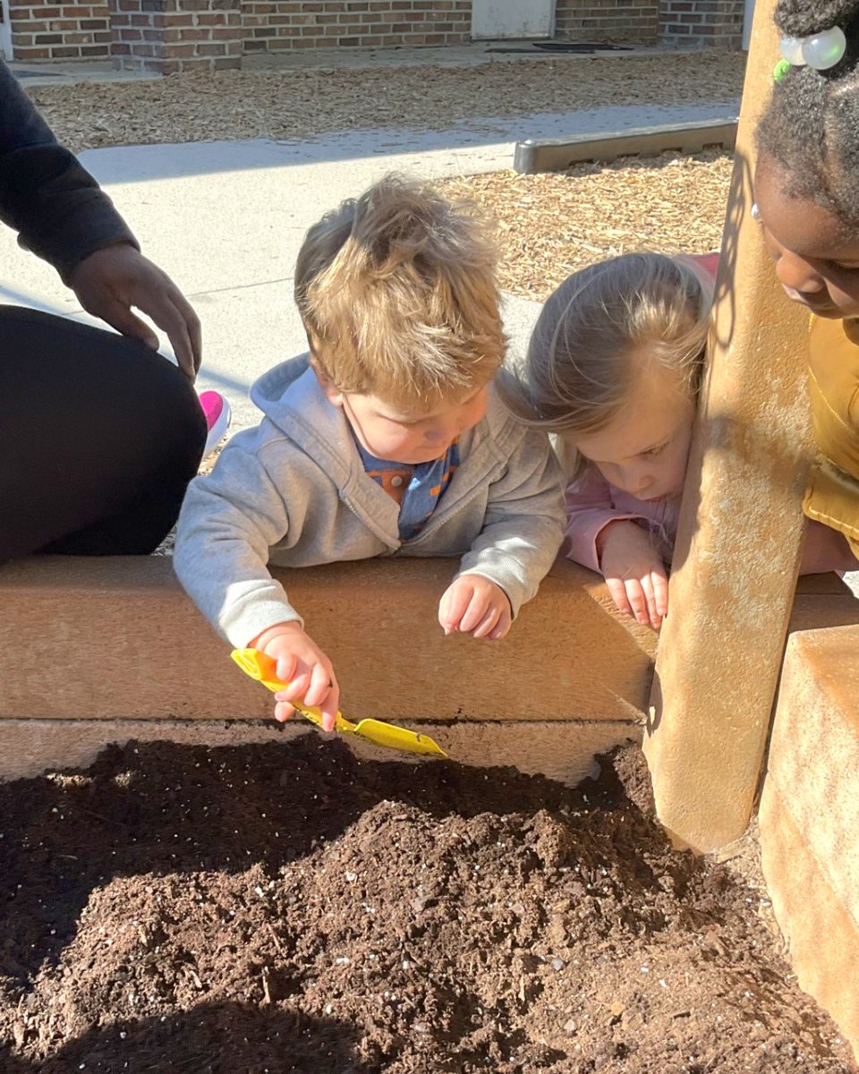 Our 2-year-olds planted tulips for spring at The Sunshine House of Mount Pleasant, SC on Turgot Ln.! 🌷 We can't wait to see how they grow! 

sunshinehouse.com/park-west
#earthday #growinggardens #earlylearning #springgarden