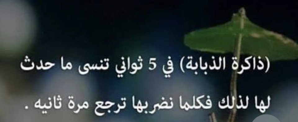 ابو فيلكس tweet media