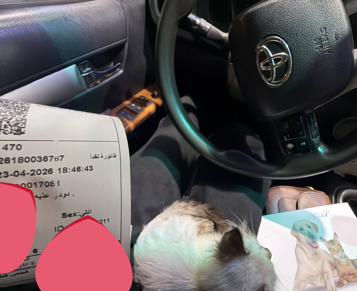 عذبه tweet media