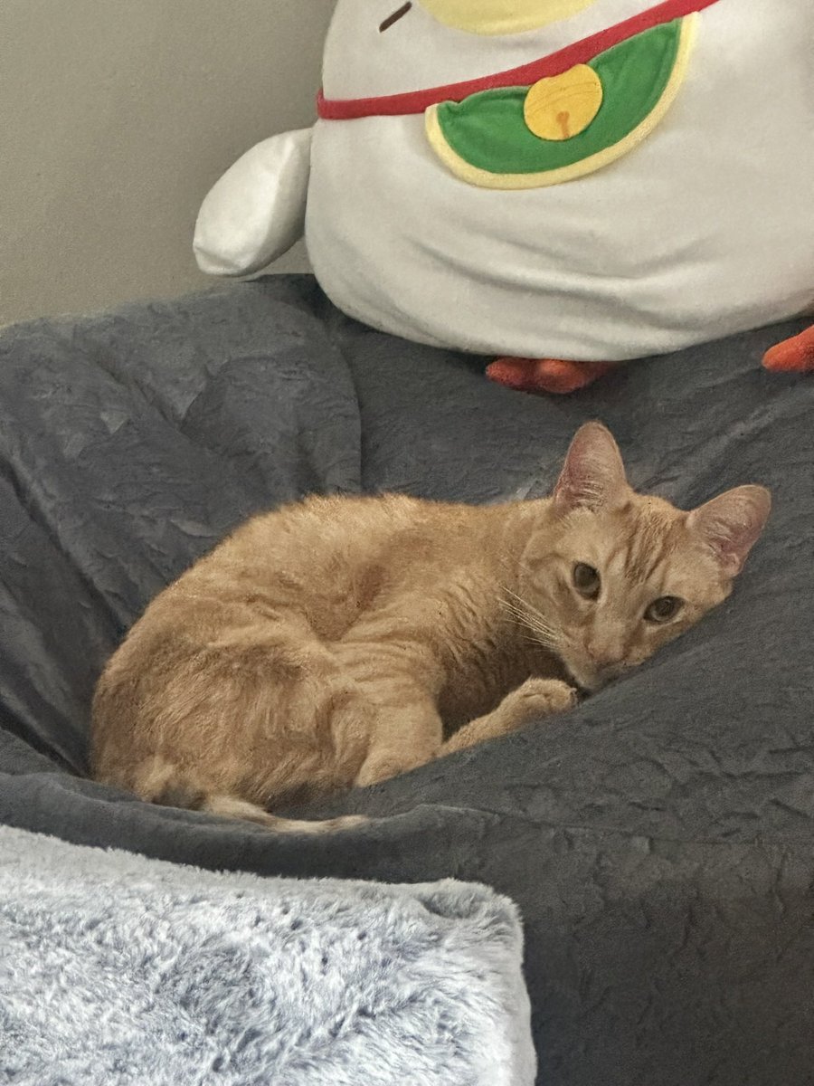 nat ⏦ﾟ♡︎ tweet media