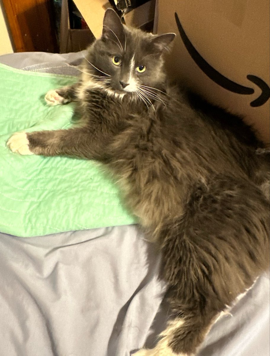 nat ⏦ﾟ♡︎ tweet media