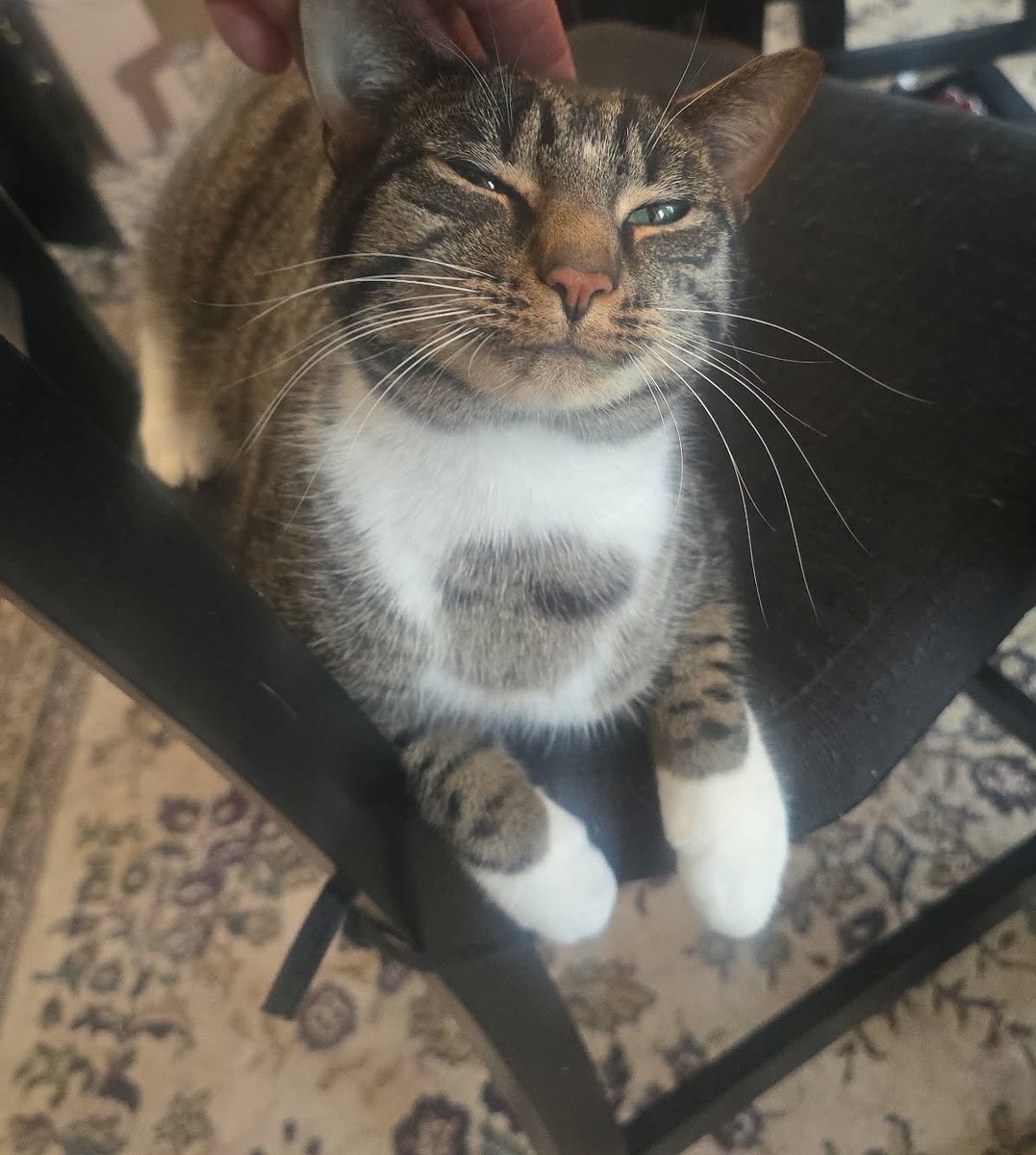 nat ⏦ﾟ♡︎ tweet media