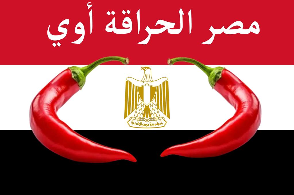 Mostafa Abdulqader M1 tweet media