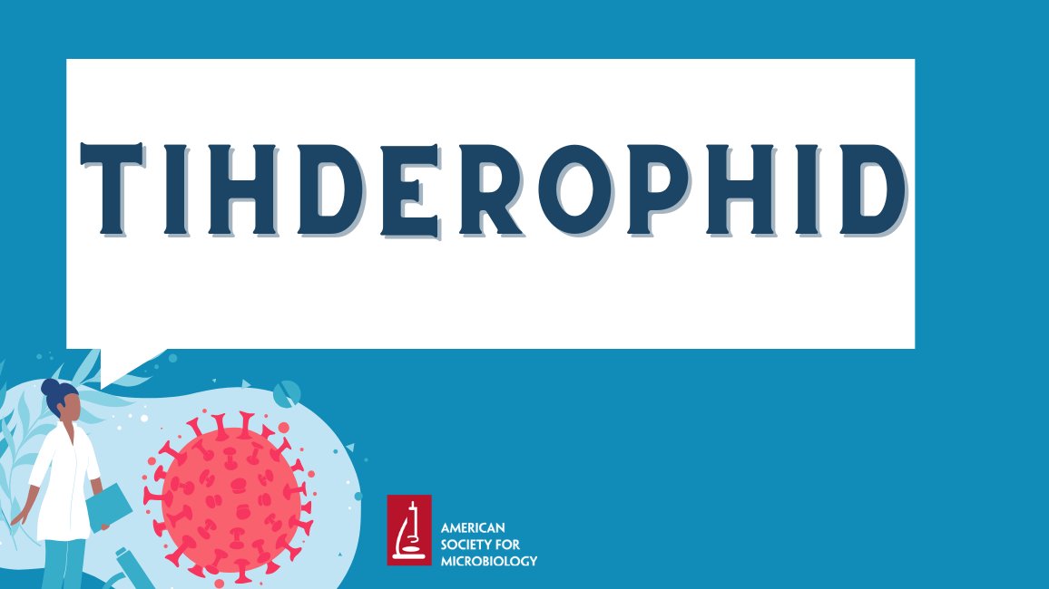 ASMicrobiology's tweet image. Are you ready for an afternoon anagram?

TIHDEROPHID

Unscramble the word and post your answer below!

Did you get yesterday’s answer? 🥁Carbapenemase! 

#ASMClinMicro #Lab4Life #LabWeek
