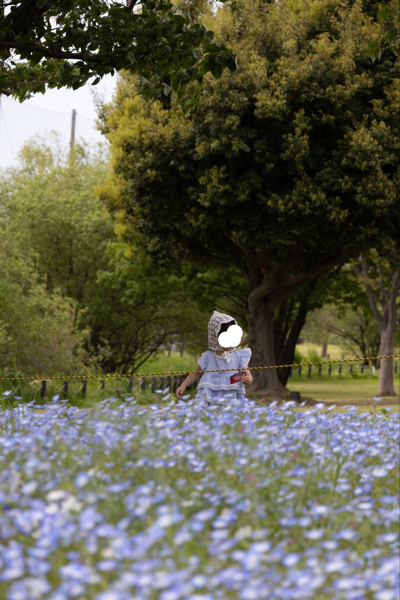 まる☺︎4y👦🏻＋2y👧🏻 tweet media