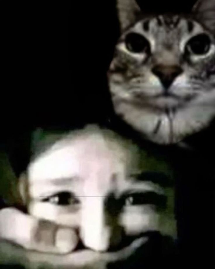 eoN.Ultima | ☄️🌑✨ tweet media